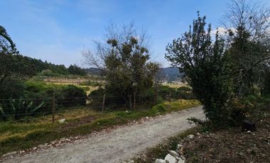 LINDO TERRENO EN SANTA ROSALIA A 10 MIN. DE MINERAL DEL MONTE ZONA BOSCOSA