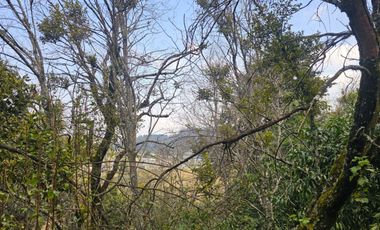 LINDO TERRENO EN SANTA ROSALIA A 10 MIN. DE MINERAL DEL MONTE ZONA BOSCOSA