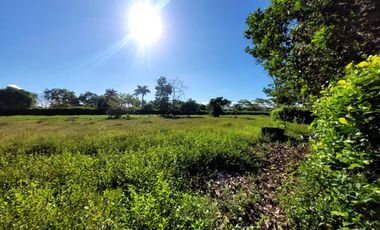 LOTE EN CONDOMINIO HORIZONTES