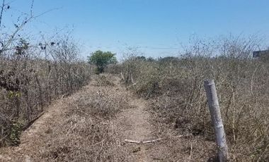 Venta de terreno Manta - Sector El Aromo