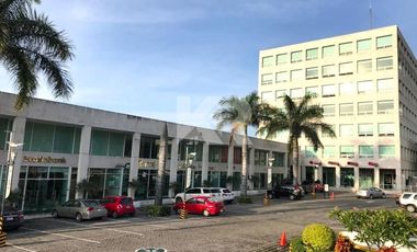 Locales  Premium en Plaza Corporativa