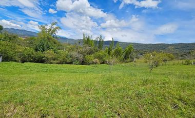 VENTA DE LOTE EN MONIQUIRA – BOYACA
