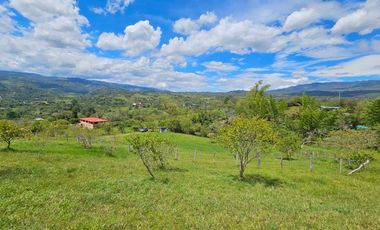 VENTA DE LOTE EN MONIQUIRA – BOYACA