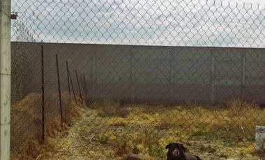 Venta de Terreno en San Pedro y Santa Ursula, Texcoco, Edo.Méx 200m2 $660,000
