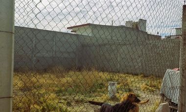 Venta de Terreno en San Pedro y Santa Ursula, Texcoco, Edo.Méx 200m2 $660,000