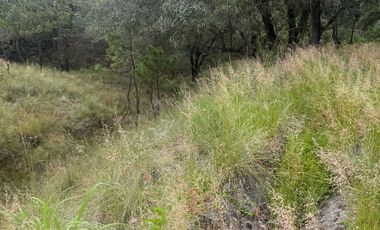 Terreno en venta en fraccionamiento el Roble