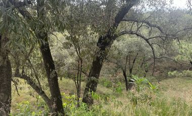 Terreno en venta en fraccionamiento el Roble
