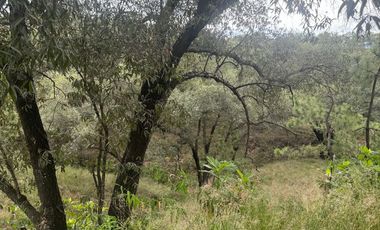 Terreno en venta en fraccionamiento el Roble