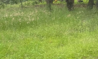 Terreno en venta en fraccionamiento el Roble