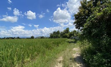 A Nice plot of Land for sale San Kamphaeng