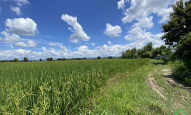 A Nice plot of Land for sale San Kamphaeng