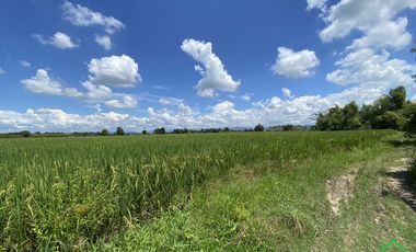 A Nice plot of Land for sale San Kamphaeng