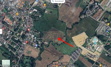 A Nice plot of Land for sale San Kamphaeng