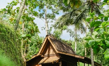 Luxury private Villa