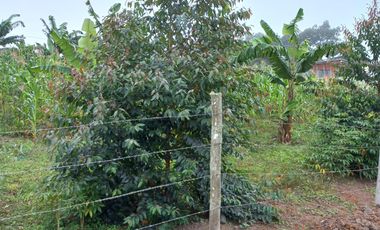 Venta de lotes en La Cumbre Pavas