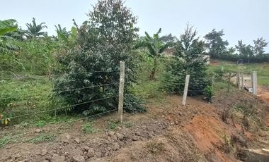 Venta de lotes en La Cumbre Pavas