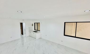 Elegant Brand New Duplex House and Lot for Sale in Las Piñas City