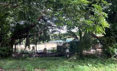 475k/sqm Lot for Sale in Ayala Alabang Village, Muntinlupa City RUSH SALE!