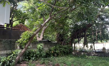475k/sqm Lot for Sale in Ayala Alabang Village, Muntinlupa City RUSH SALE!