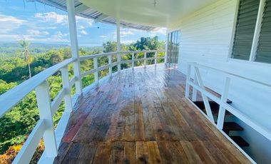 FOR SALE‼️ - HIGHLAND PROPERTY IN SIQUIJOR WITH AN AMAZING VIEW OF LAZI BAY AND MINDANAO