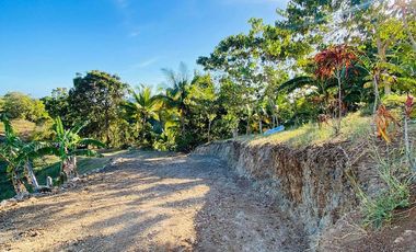 FOR SALE‼️ - HIGHLAND PROPERTY IN SIQUIJOR WITH AN AMAZING VIEW OF LAZI BAY AND MINDANAO