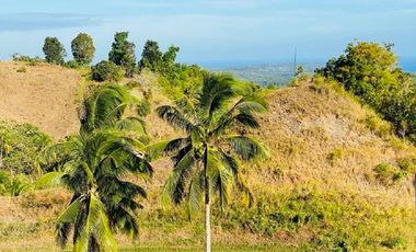 FOR SALE‼️ - HIGHLAND PROPERTY IN SIQUIJOR WITH AN AMAZING VIEW OF LAZI BAY AND MINDANAO