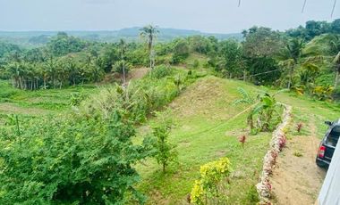 FOR SALE‼️ - HIGHLAND PROPERTY IN SIQUIJOR WITH AN AMAZING VIEW OF LAZI BAY AND MINDANAO