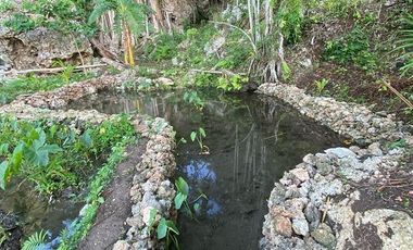 FOR SALE‼️ - HIGHLAND PROPERTY IN SIQUIJOR WITH AN AMAZING VIEW OF LAZI BAY AND MINDANAO