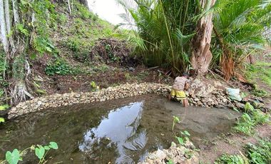 FOR SALE‼️ - HIGHLAND PROPERTY IN SIQUIJOR WITH AN AMAZING VIEW OF LAZI BAY AND MINDANAO