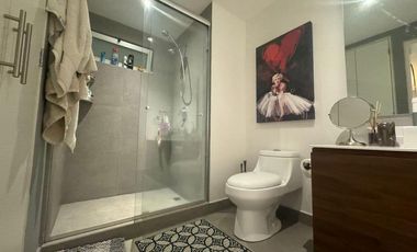 Departamento en Renta en Anahuac, 1 recamara