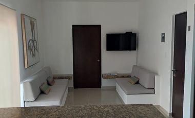SE RENTA DOS DEPARTAMENTOS EJECUTIVOS EN EL CENTRO DE ORIZABA, VER.  PARA PERSONAS QUE BUSQUEN UN AMBIENTE AMENO, MUY BIEN ILUMINADO Y CON COMPLETA SE