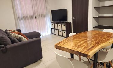 Departamento en Renta en Kyo Midtown