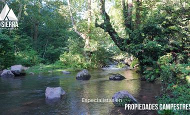 32 HA DE TERRENO CON BOSQUE PROFUNDO Y RÍO