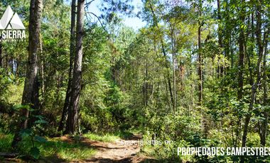 32 HA DE TERRENO CON BOSQUE PROFUNDO Y RÍO
