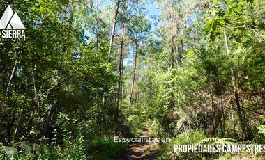 32 HA DE TERRENO CON BOSQUE PROFUNDO Y RÍO