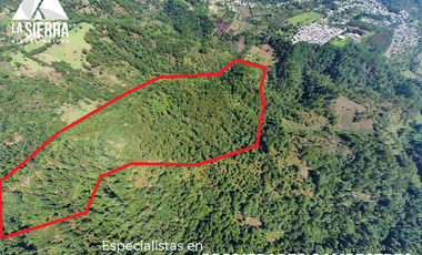 32 HA DE TERRENO CON BOSQUE PROFUNDO Y RÍO