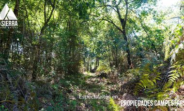 32 HA DE TERRENO CON BOSQUE PROFUNDO Y RÍO