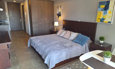 RENTA DEPARTAMENTO EN TORRE NARAN  CON MINI SPLIT