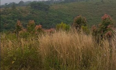 7 Ha Tanah Kebun Murah, Cikalong, Wangunjaya Cikalong Wetan Bandung Barat