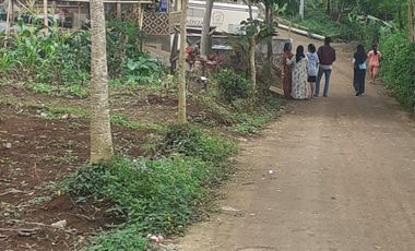 7 Ha Tanah Kebun Murah, Cikalong, Wangunjaya Cikalong Wetan Bandung Barat