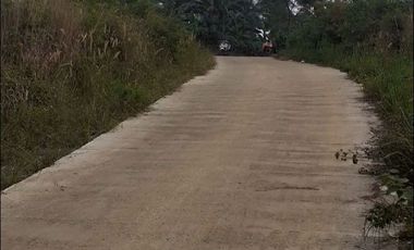 7 Ha Tanah Kebun Murah, Cikalong, Wangunjaya Cikalong Wetan Bandung Barat