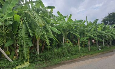 Land for sale, 202 square wah, Soi Ram Intra 65, Intersection 6, near MRT Ram Intra Station, Km.6, only 800 m. Suitable for investment as a home offic