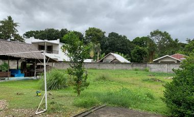 HOUSE AND LOT FOR SALE IN AMLAN ID 14771