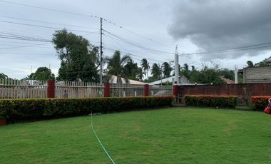 HOUSE AND LOT FOR SALE IN AMLAN ID 14771