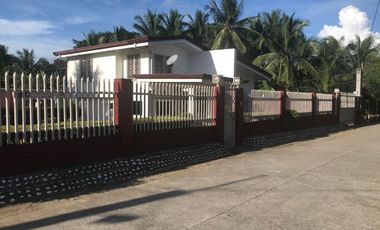 HOUSE AND LOT FOR SALE IN AMLAN ID 14771