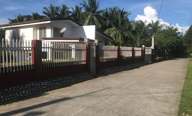HOUSE AND LOT FOR SALE IN AMLAN ID 14771