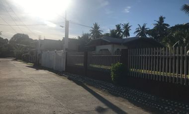 HOUSE AND LOT FOR SALE IN AMLAN ID 14771