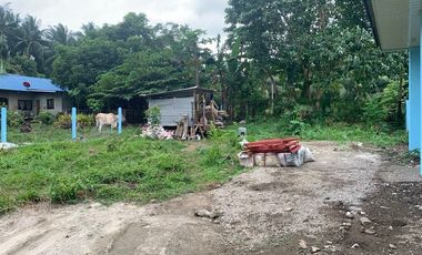 HOUSE AND LOT FOR SALE IN BACONG ID 14849
