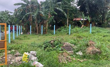 HOUSE AND LOT FOR SALE IN BACONG ID 14849