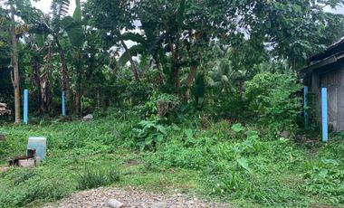 HOUSE AND LOT FOR SALE IN BACONG ID 14849